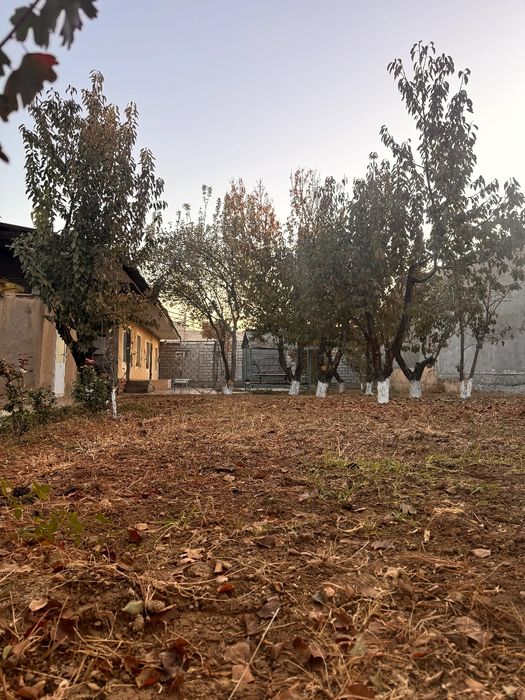 Xovli sotiladi 8 sotok Qibray tumani. Barcha sharoiti uy ichida