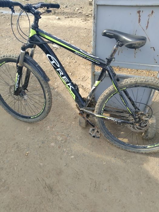 Пирадаю велик сирачна