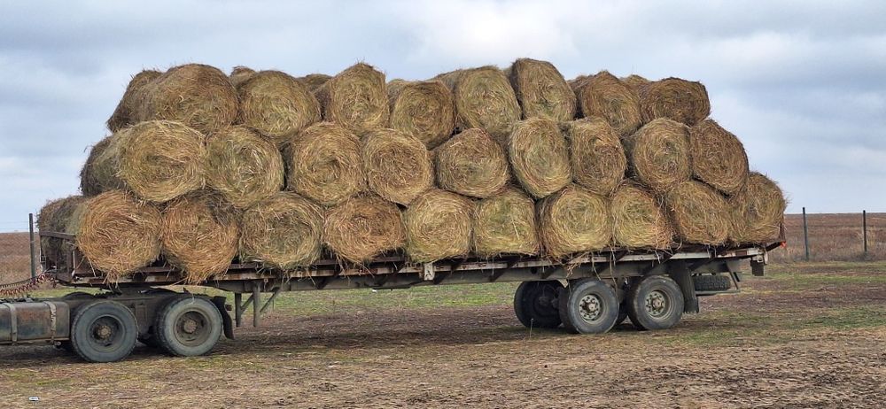Продам сено,разнотравие  в рулонах