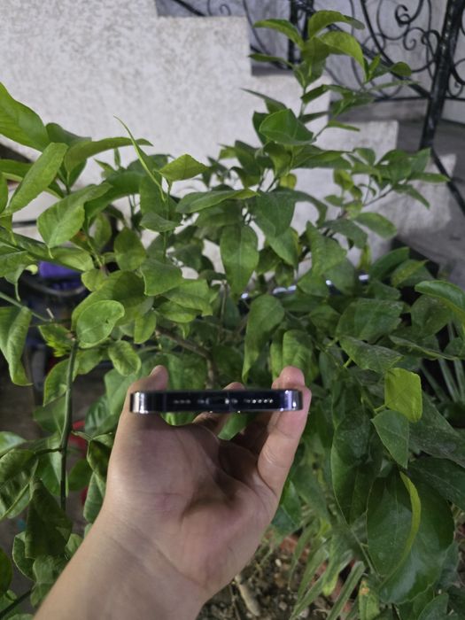Iphone 14 pro 128g