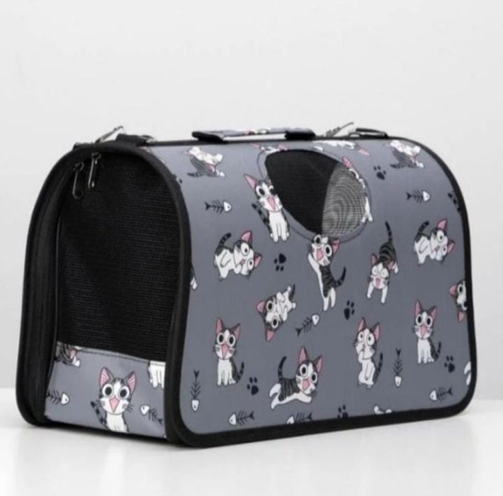 Мысык сатылады Шотландский вислоухий