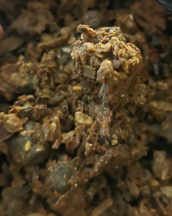 Пчелен клей /Прополис/