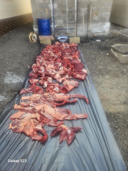 Касапшы Мясник мал соямын