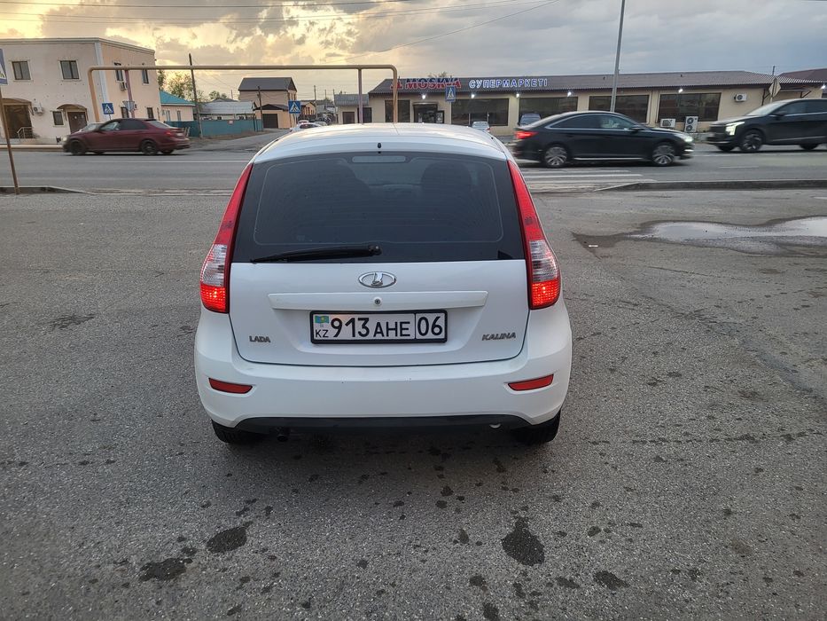 Калина Хэйчбэк 2014