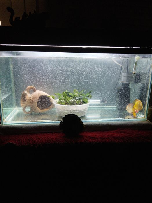 Продам аквариум 80 -90 литров