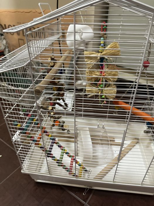 Рещетка для птиц