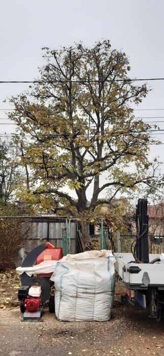 Дробилка за клони