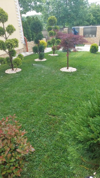 Amenajări grădini sisteme de irigare profesionale Plante ornamentale