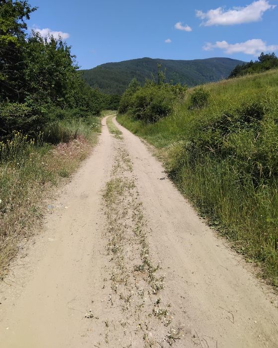 Продава поземлен имот в гр.Сапарева баня