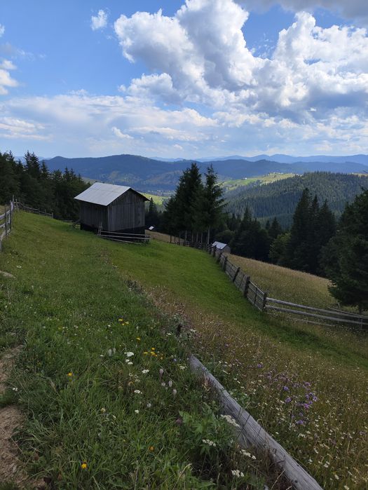 Teren de vanzare 1 ha – Perivata, Argel, com. Moldovița, Suceava