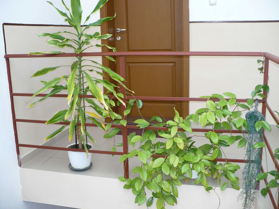 Panasonic Lumix DMC-LZ7 7.2МРх