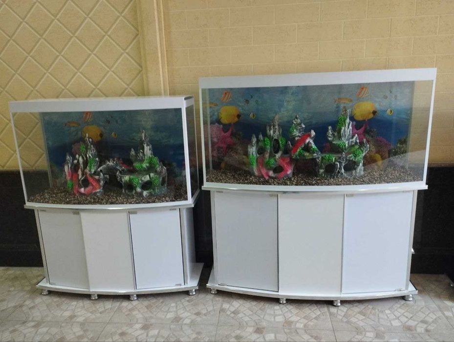 Zakazga akvariumlar. Toshkent dastavka bor. 1mln so'mdan 5 mln so'mgaw