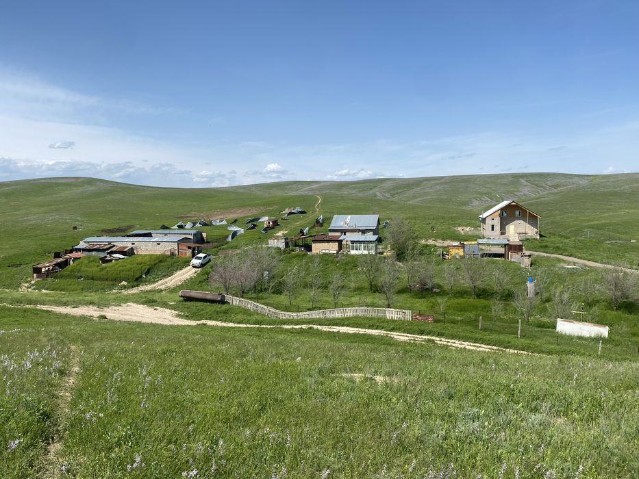 Продам фазенду срочно