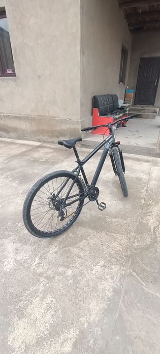 Велик сатылады тианс