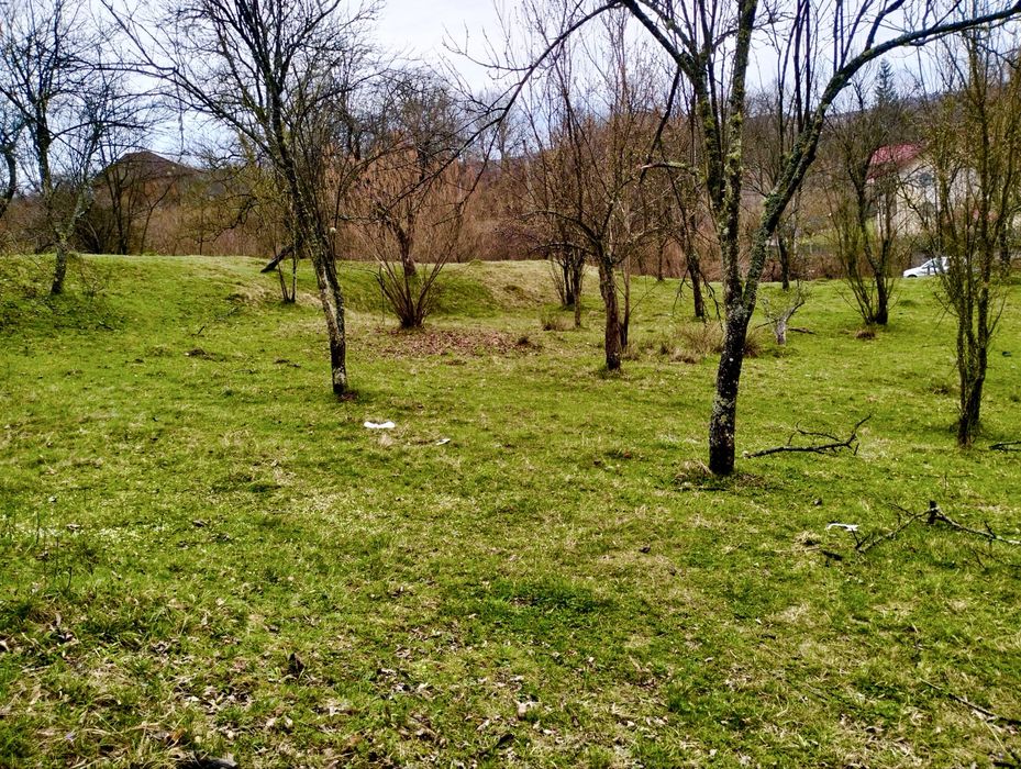 Ocazie! Vand teren Curtea de Arges pentru casa vacanta/ pensiune