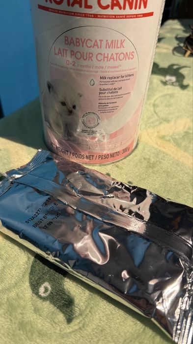 Lapt pt pui de pisica Royal Canin