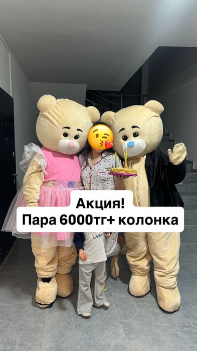 Мишки на прокат -20% + бонус