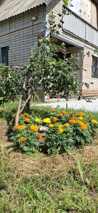 Продам дачу СО Горизонт