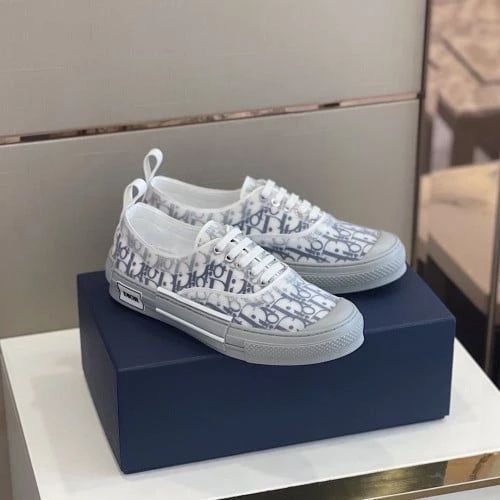 CD B23 Low Top Oblique White/Gray