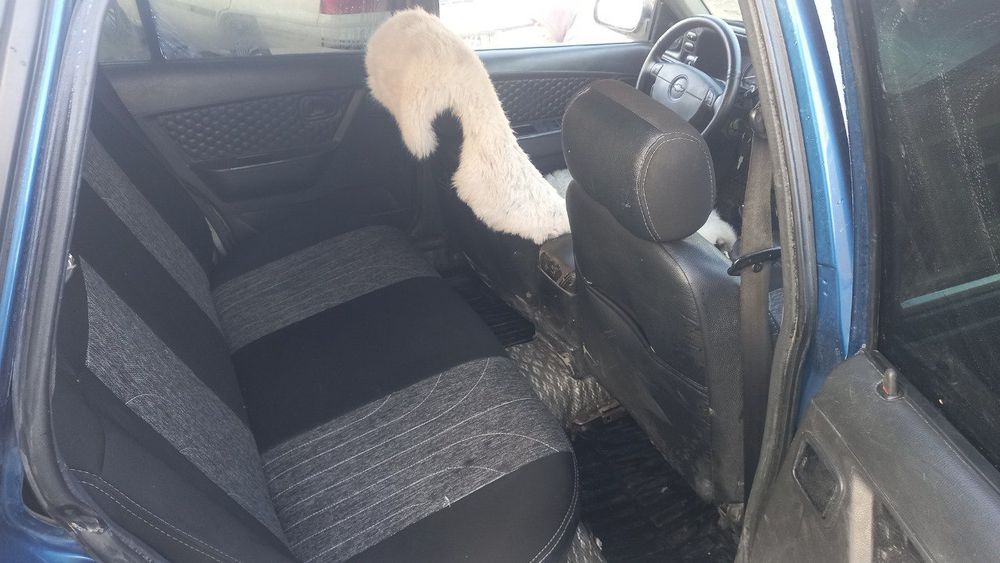 Nexia 1 mator hadavoy yaxshi metan gaz balon dakument bln bor hamma na