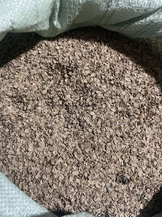 Ukrop urug’ satiladi