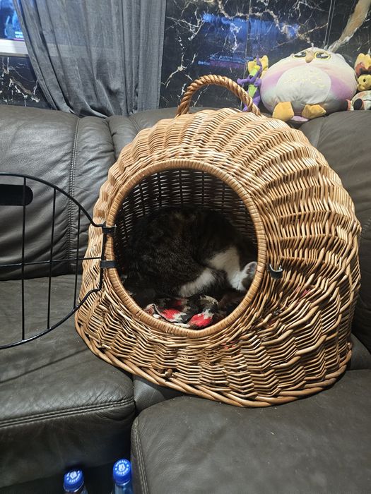 Coș de transport  culcuș căței/pisici