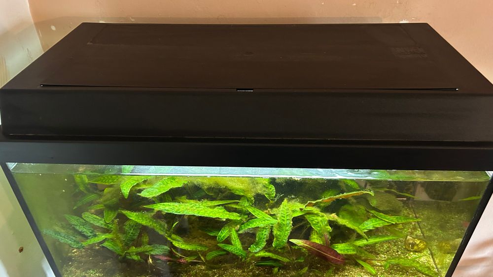 Acvariu Juwel - 60 L
