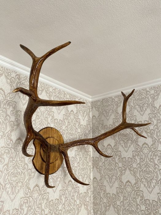 Продам сувенир продам