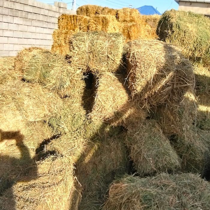 Жоңышка  прес бар,Шөп