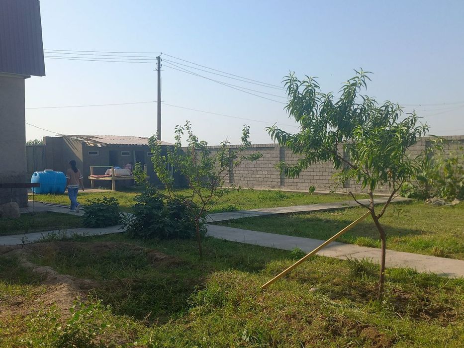 Срочна продаётся 6 соток дача Пскентском районе