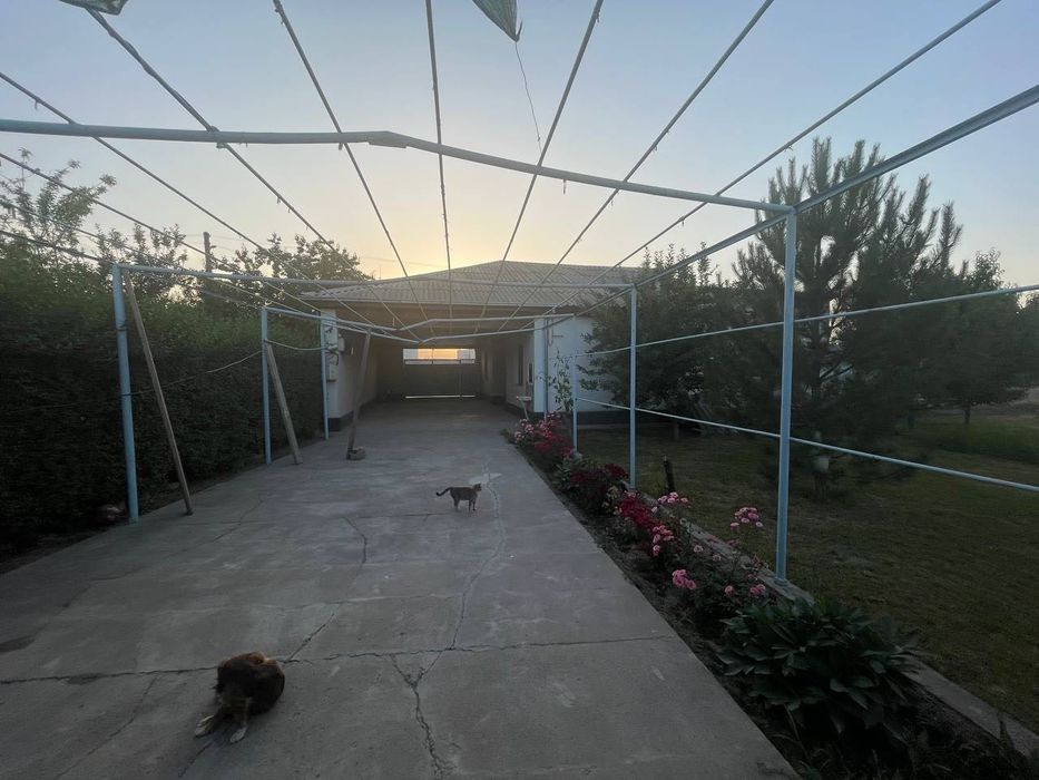 дом продается , таш область, г.Нурафшон  станция кучлук