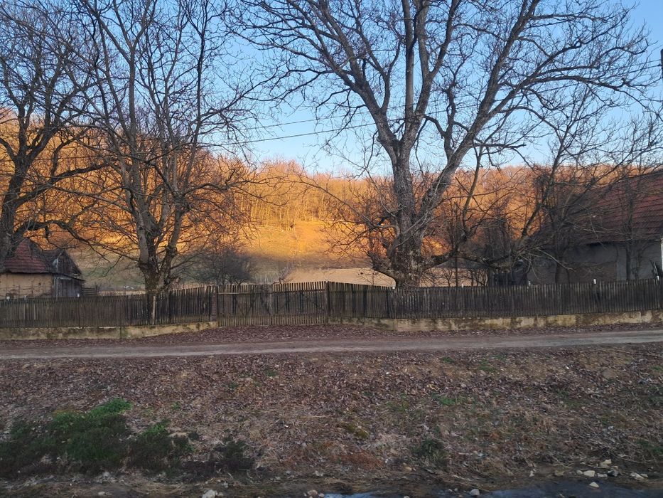 Vând teren intravilan