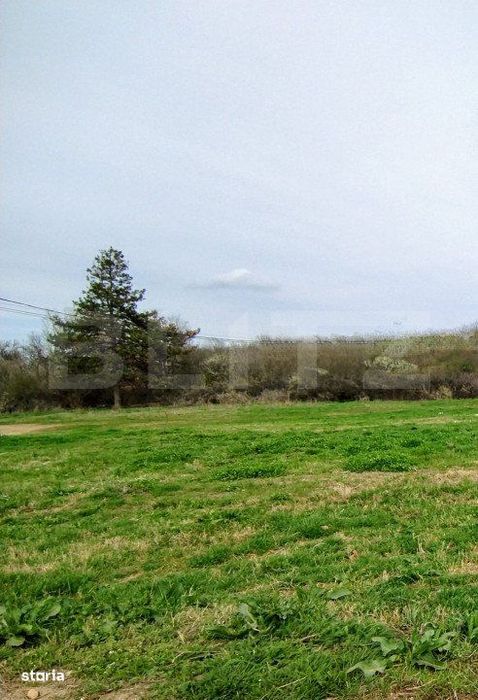 Teren intravilan de vanzare, 1.243 mp, platou Breasta