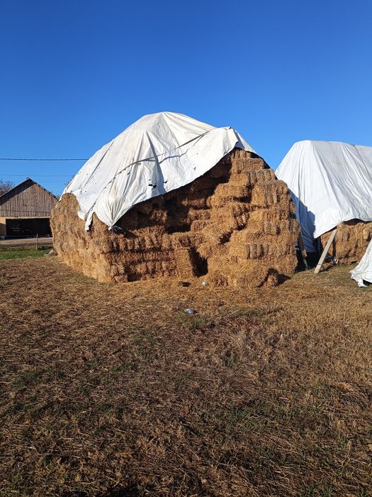 Vând baloti de paie