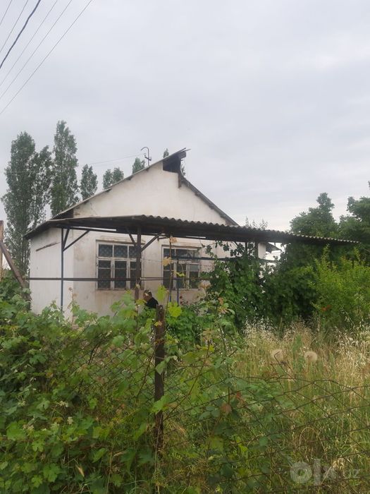 Продается дача на ташморе хороших ценах