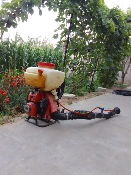 Dori  Sepadigan Aparat