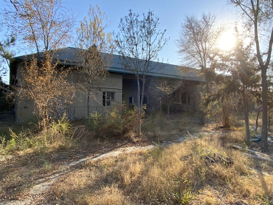 Сирдарё туманида трасса ёкасида 55 сотих биноси билан сотилади