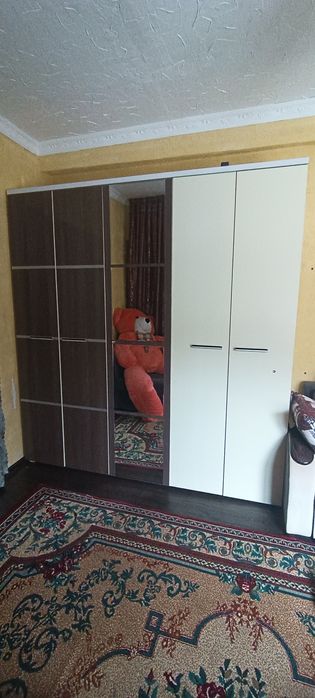 Шкаф платяной для спальни
