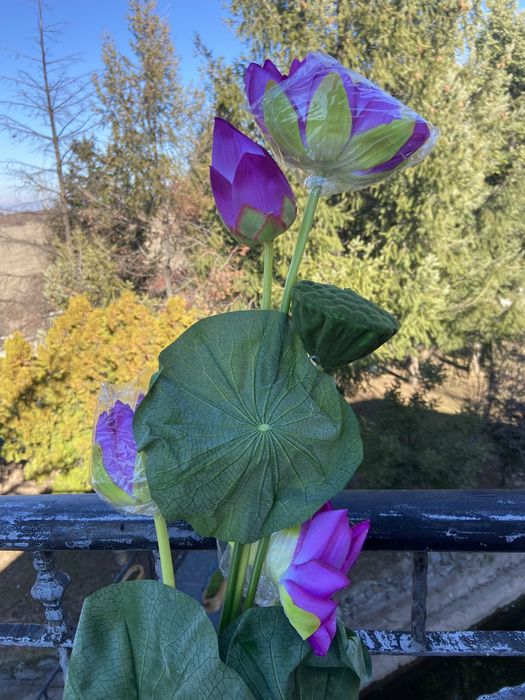 Изкуствени цветя лотос-различни цветове