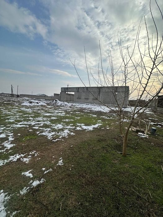 Sirdaryo shahar, Pravdada 1.50 gektarli ferma sotiladi