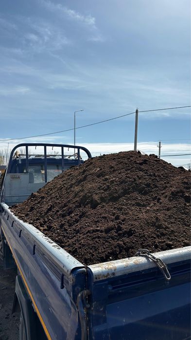 Пергной и чернозем