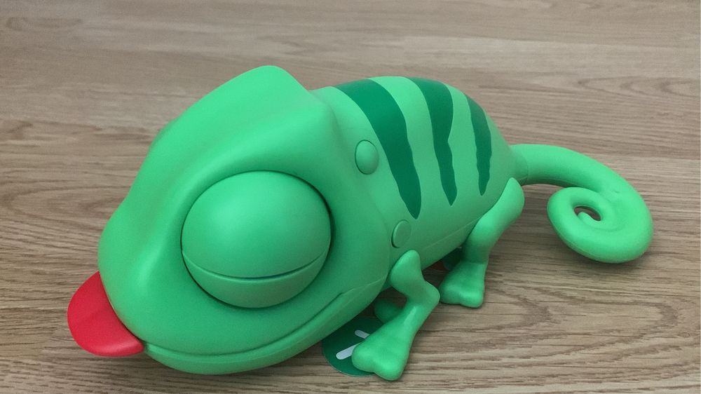 Joc de agilitate In plasa lui Cami