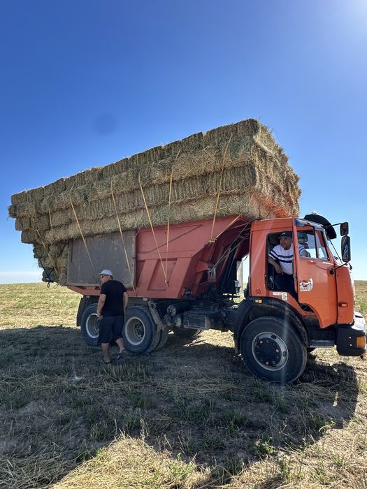 Жоңышқа сатылады! Багара! 700 тенге