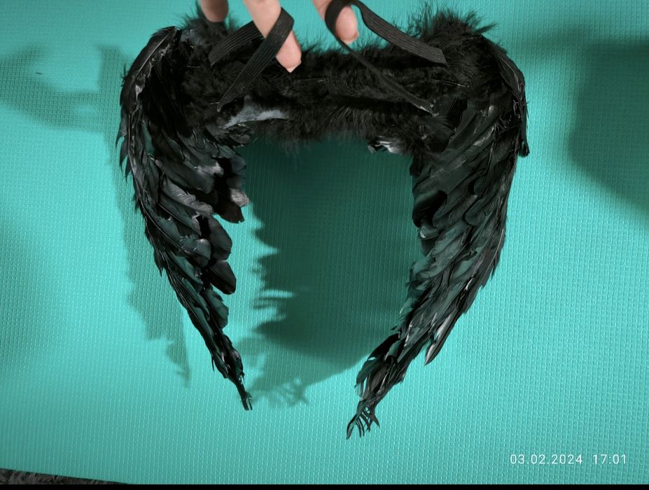 Крылья. Настоящие перья