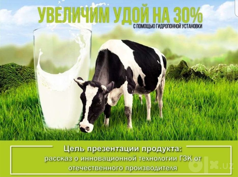 Зелёный корм  365/7