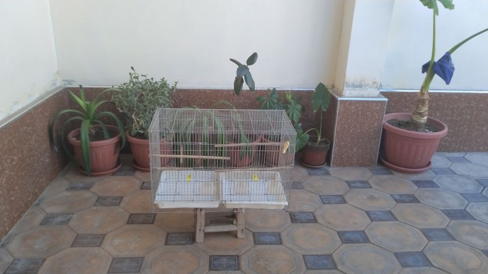 Кафас сотилади Продается Клетка.