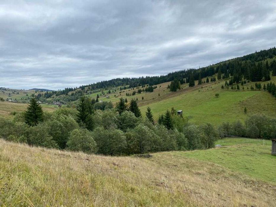 Teren  Bucovina pt pensiune
