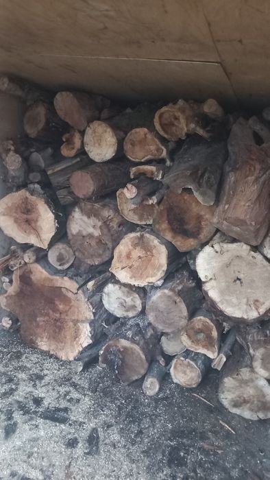 Отин сотиади курук отин