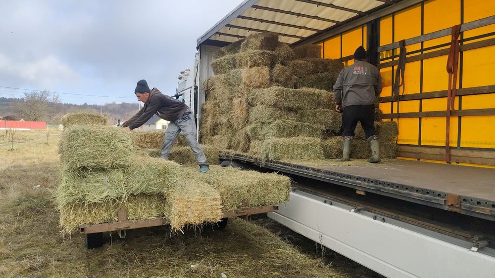 Lavanda.Trandafiri.Coacaz.Castan.Afin.Nuci.Baloti fan;Lucerna min TIR>