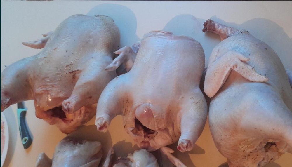 Продам мясо бролера